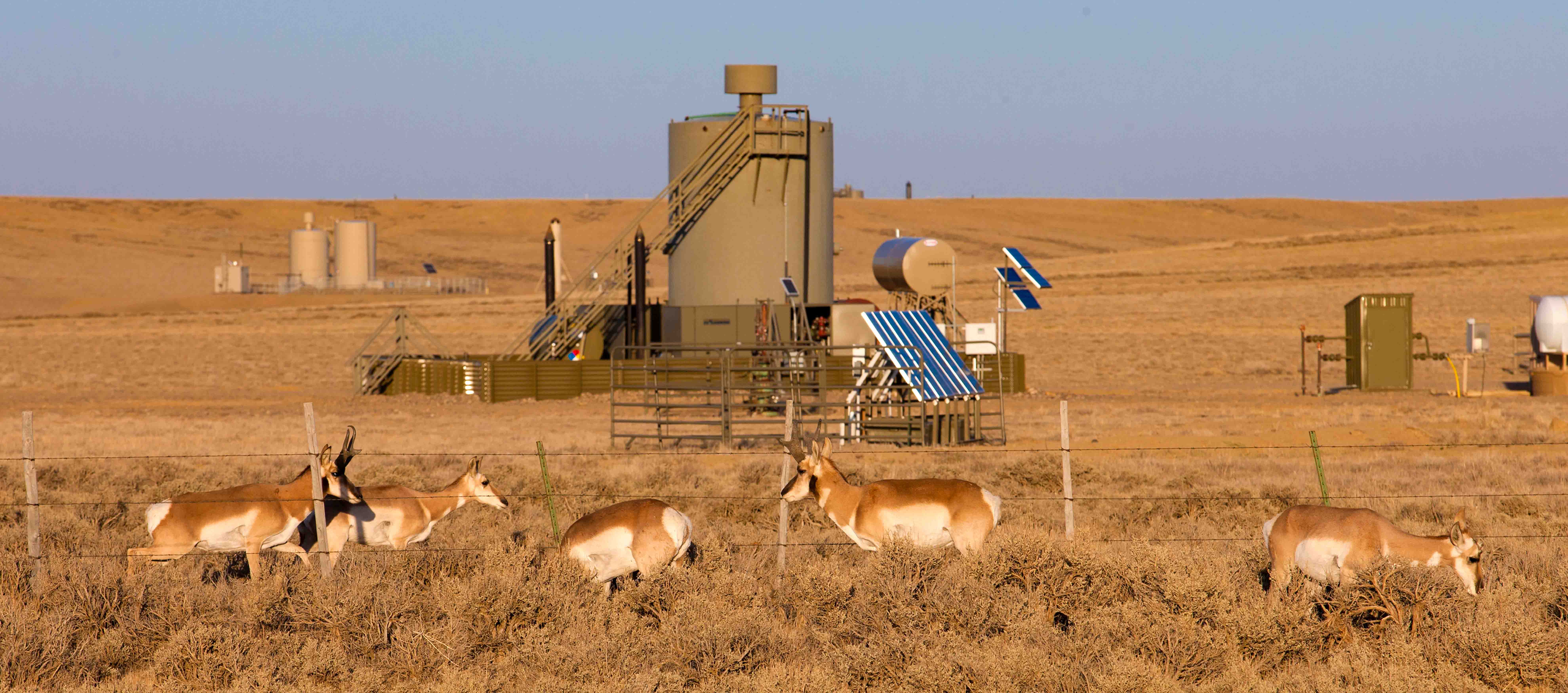 Antelope graze near gas production in Wamsutter, Wyoming.