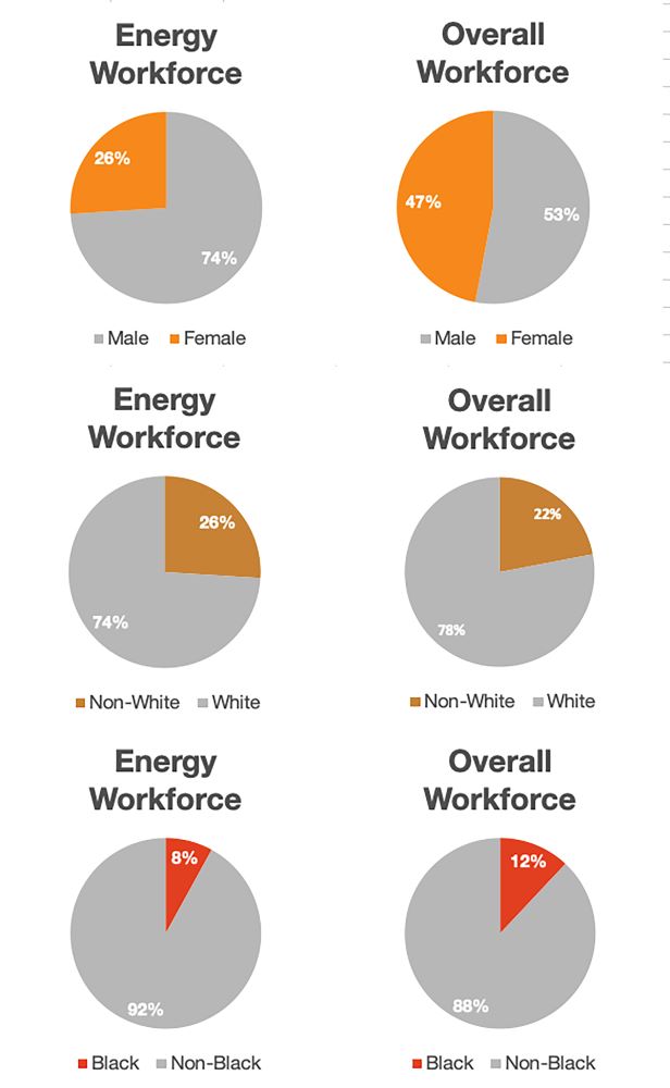 energy industry demographics