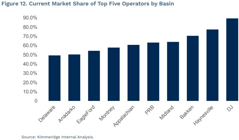 Kimmeridge Basin Market Share