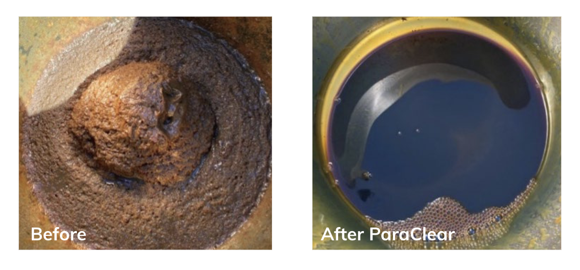 ParaClear before and after