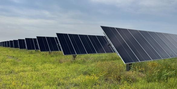 Danish Solar Farm