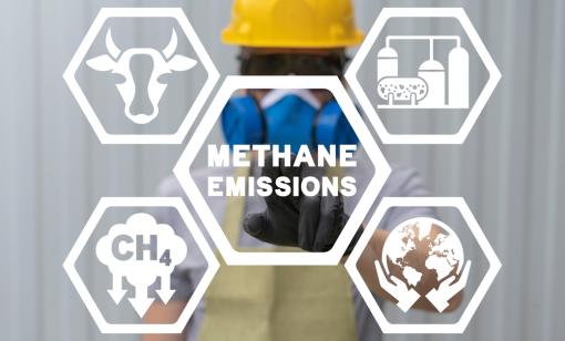Methane reduction technology