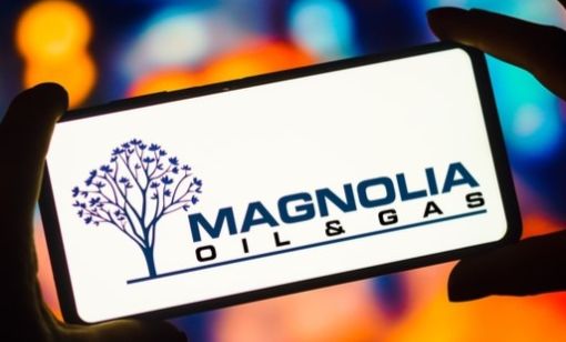 Magnolia Appoints David Khani to Board