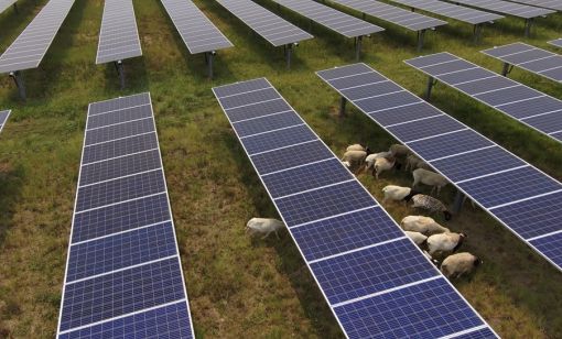 Dominion Energy Grows Solar Energy Portfolio in Virginia