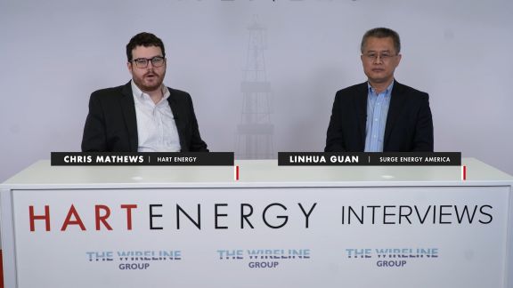Linhua Guan, CEO, Surge Energy America